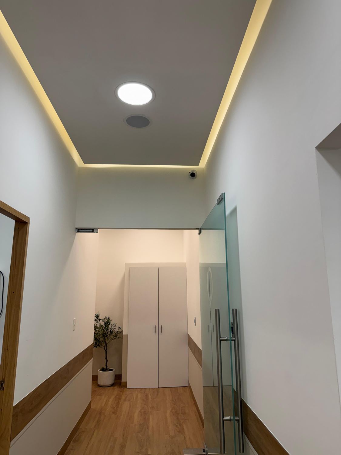 Circulación con luz indirecta en el plafón, puerta de cristal y guardasilla de madera